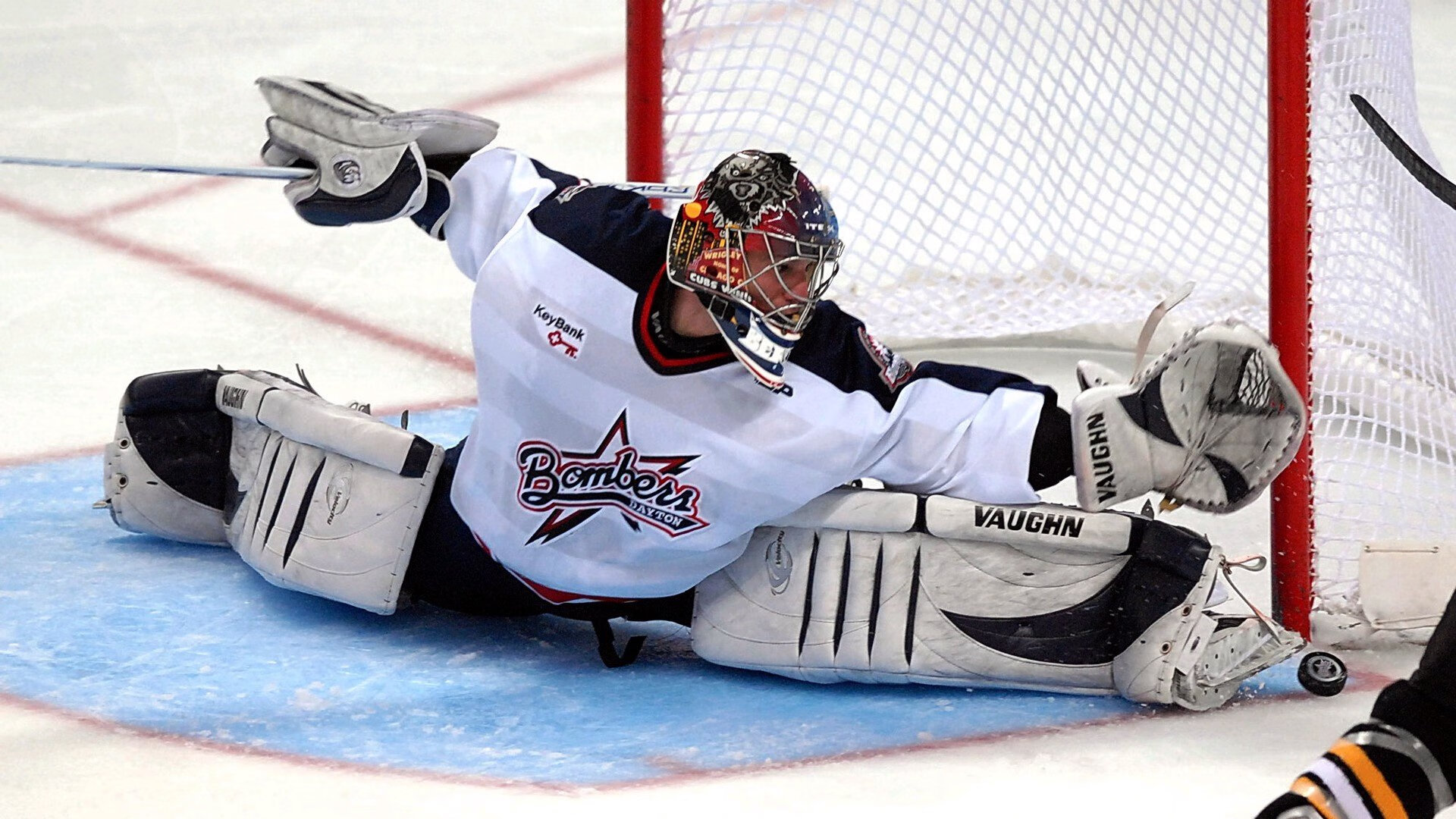 北极探险赛：极地挑战的无畏精神，北极探索