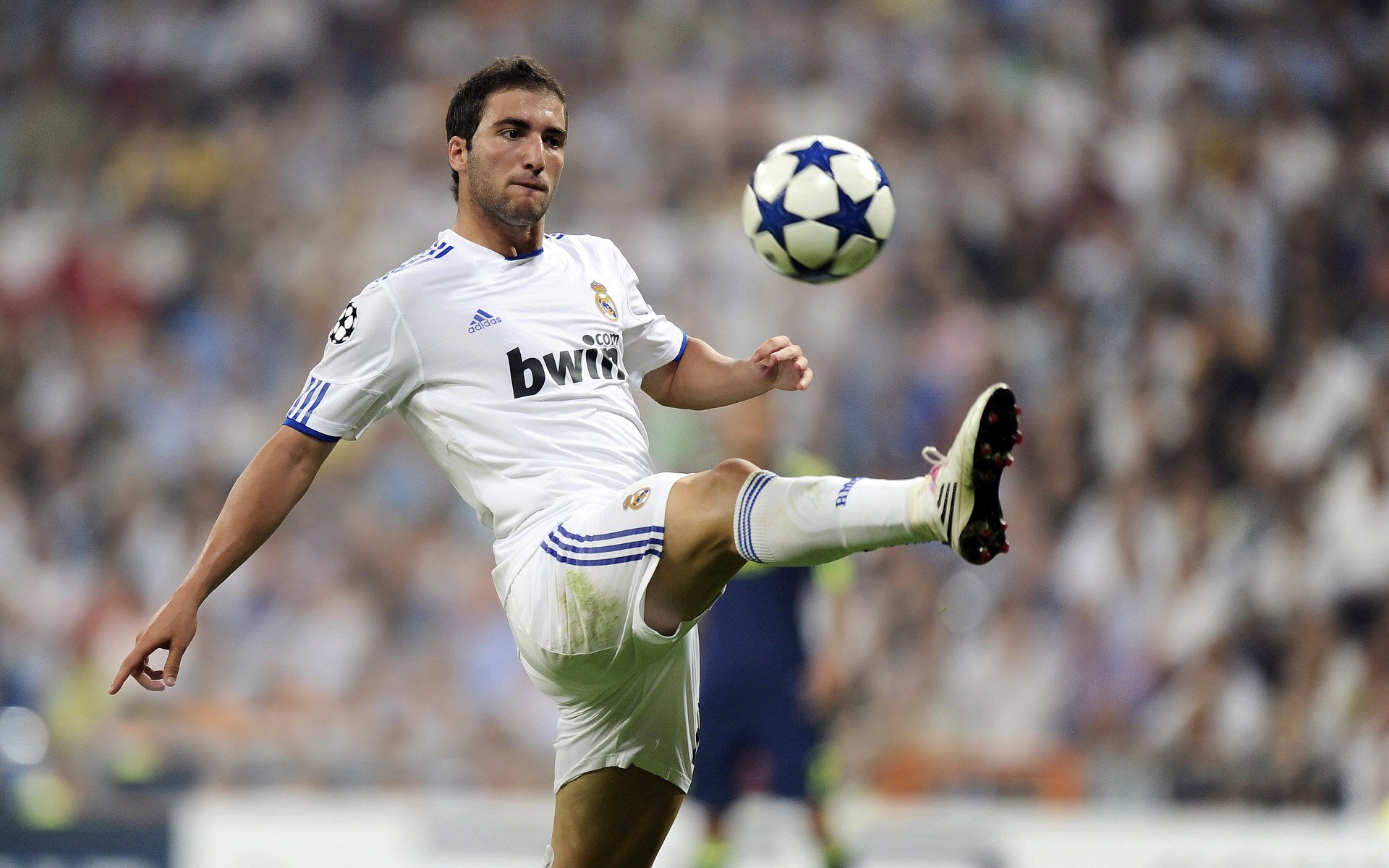 美国马术协会与国际马术联合会合作，举办国际马术交流活动，促进技术交流。